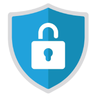 Shield Icon