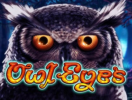 Owl Eyes 1