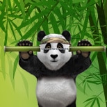 royal panda mobil